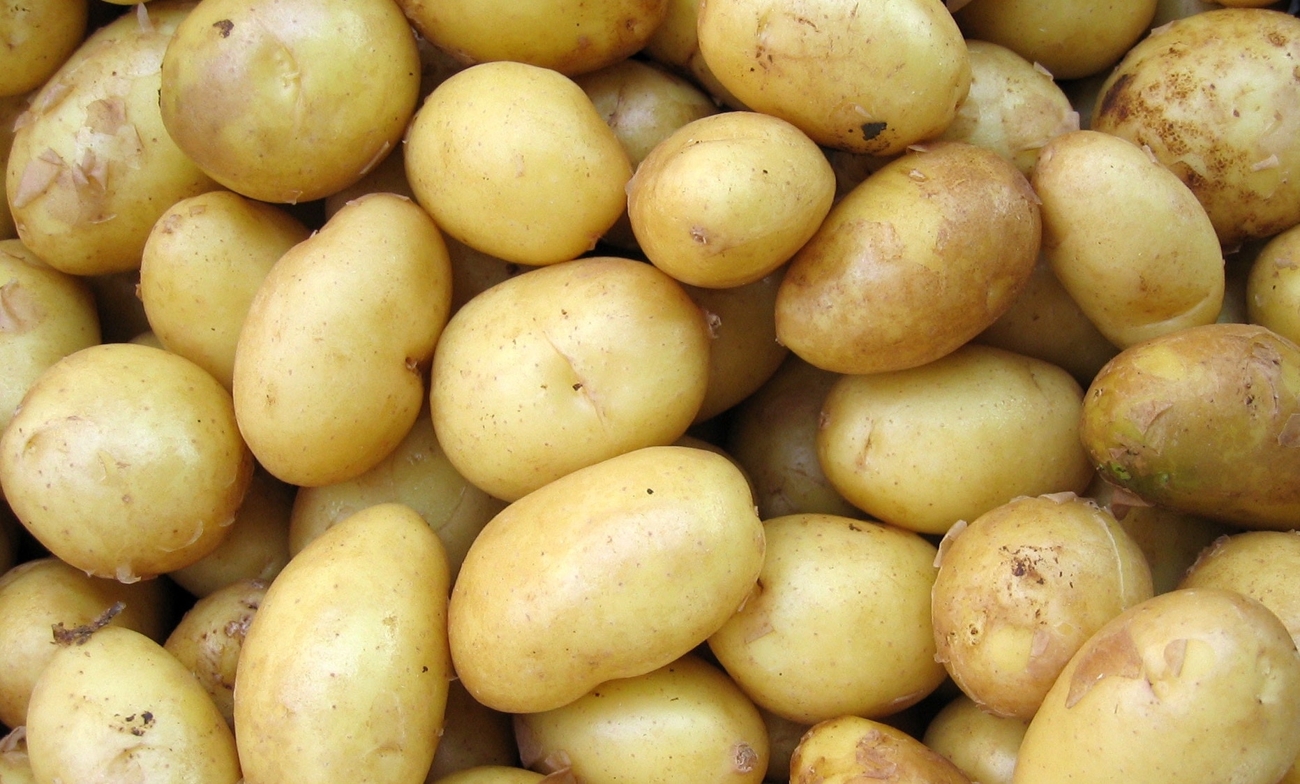 Aardappeltaartjes uit de oven