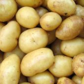 Krokante aardappelschijfjes uit de oven met rozemarijn en zeezout