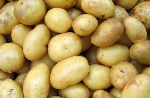 Aardappeltaartjes uit de oven: lekker bij vis of groenten