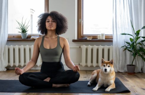 Doga: yoga samen met je hond