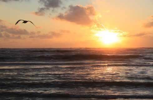 Surfen in Nederland, dat doe je op deze plekken!