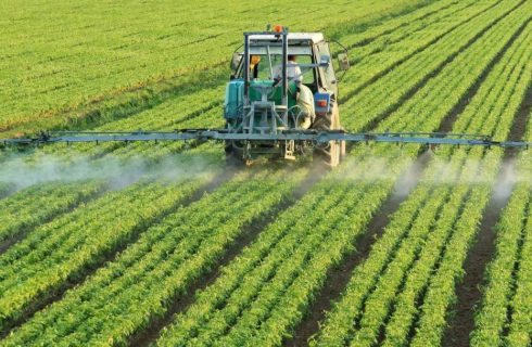 Onderzoeker zegt dat over 8 jaar de helft van alle kinderen autisme heeft.