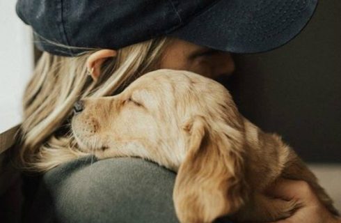 Heb je moeite met ontspannen? Deze dieren kunnen je helpen!