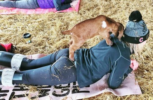 Yoga met een geitje op je rug? Dit kan in het Amsterdamse bos