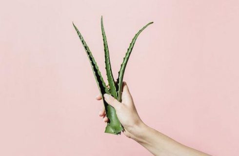 Dit DIY aloe vera masker helpt ontstekingen te remmen!