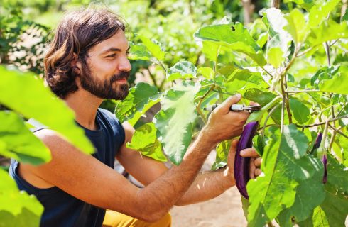 Waarom de vegan man aantrekkelijker is!